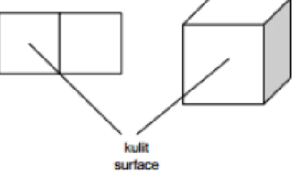 Gambar 11.1 Contoh permukaan 3 dimensi 