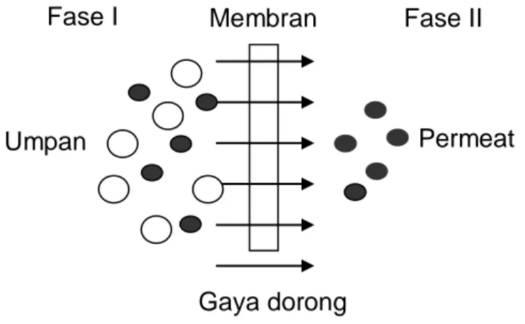 Gambar 2.1  Sistem dua fase yang dipisahkan oleh membran ( Mulder Tahun 1996) 