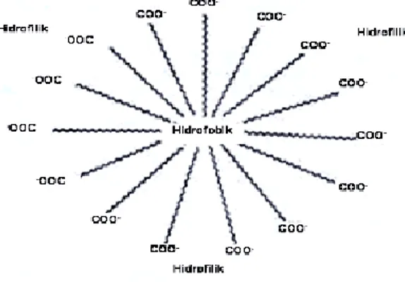 Gambar 2.8  Struktur Molekul Surfaktan dalam suatu Sistem Emulsi (Flider, 2001)  Cara penentuan  KKM dapat  menggunakan cara-cara penentuan  besaran  fisik  yang menunjukkan perubahan dari keadaan ideal menjadi tak ideal