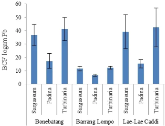 Gambar 5.Rata-rata BCF Pb pada fleshy macroalgae Analisis Nested Anova menunjukkan tidak terdapat perbedaan  nilai  BCF  logam  Pb  pada fleshy macroalgae di berbagai lokasi penelitian (P&gt;0,05), namun  terdapat  perbedaan  konsentrasi  logam  Pb pada fl