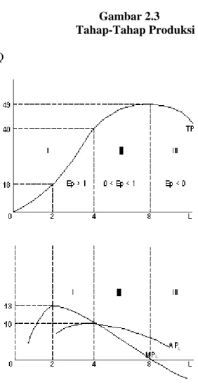 Gambar 2.3 dapat dibagi menjadi tiga bagian daerah produksi, yaitu pada  saat AP L  naik hingga AP L  maksimum (daerah I), dari AP L  maksimum hingga TP  maksimum atau MP L  = 0 (daerah II) dan daerah TP yang menurun (daerah III)