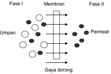 Gambar 2.1 Sistem Dua Fase yang Dipisahkan oleh Membran (Mulder,1996)    