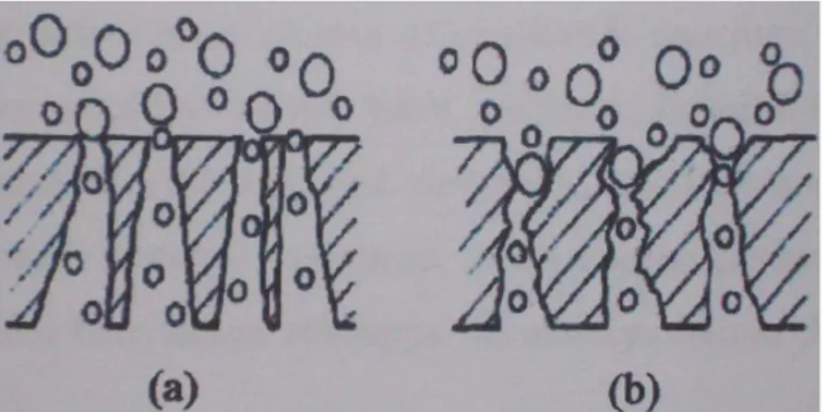 Gambar 2.3 merupakan gambar geometri dari suatu membran. 