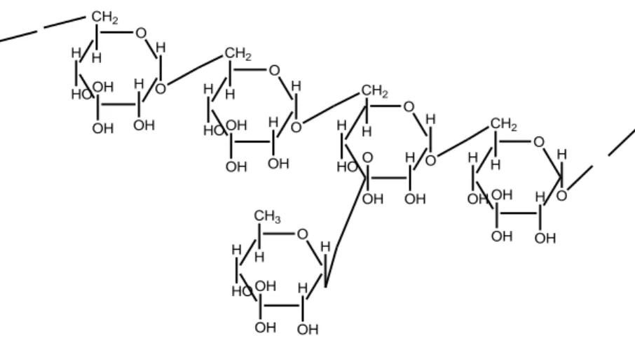 Gambar 2.8 struktur dekstran 