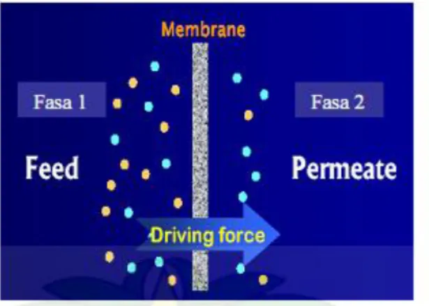 Gambar 1 . skema proses pemisahan dengan membran  a. Permeabilitas  