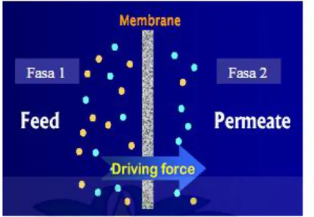 Gambar 1 . Skema proses pemisahan dengan membran 