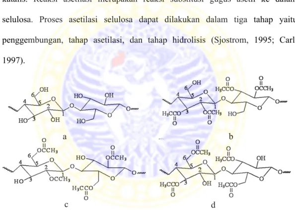 Gambar 2.5 Struktur selulosa (a) dan selulosa diasetat (b, c, d)