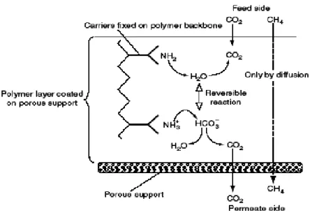 Gambar 2.4 Mekanisme transportasi CO 2  pada membran (Pabby dkk., 2009) 