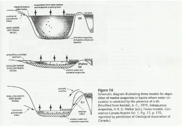ilustrasi 3 model pendapan evaporit (Kendall 1979 dalam Boggs, 2006)