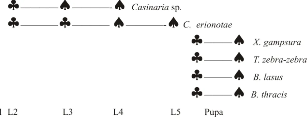 Gambar 1.  Waktu oviposisi dan keluarnya parasitoid dari tubuh inang (Oviposition  time and parasitoids emerged from the host)