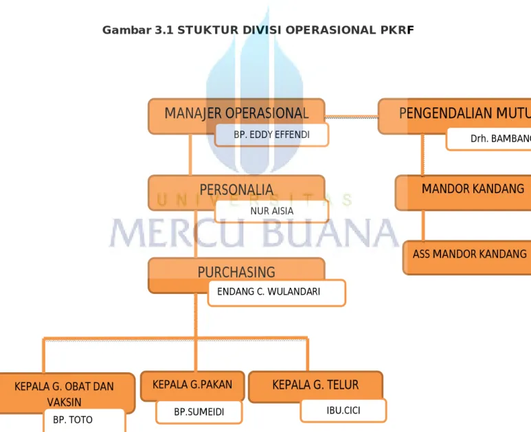 Gambar 3.1 STUKTUR DIVISI OPERASIONAL PKRF 