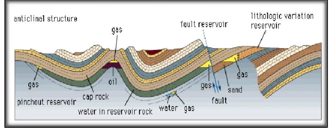 Gambar 1. Petolium Sistem 