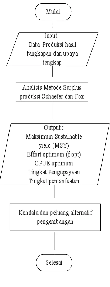 Gambar 2. Diagram alir model analisis sumber daya ikan 