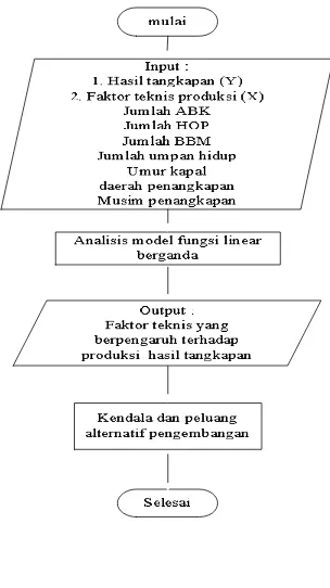 Gambar 4. Diagram alir analisis model fungsi peroduksi 