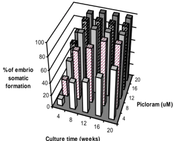 Tabel 2.  Influence  of  Picloram  on  percentage  of  somatic  embryos  formation 