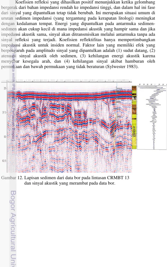 Gambar 12. Lapisan sedimen dari data bor pada lintasan CRMBT 13    dan sinyal akustik yang merambat pada data bor