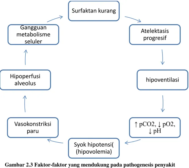 Gambar 2.3 Faktor-faktor yang mendukung pada pathogenesis penyakit  Respiratory Disstress Syndrome (RDS)/Hyaline Membran Disease (HMD) 