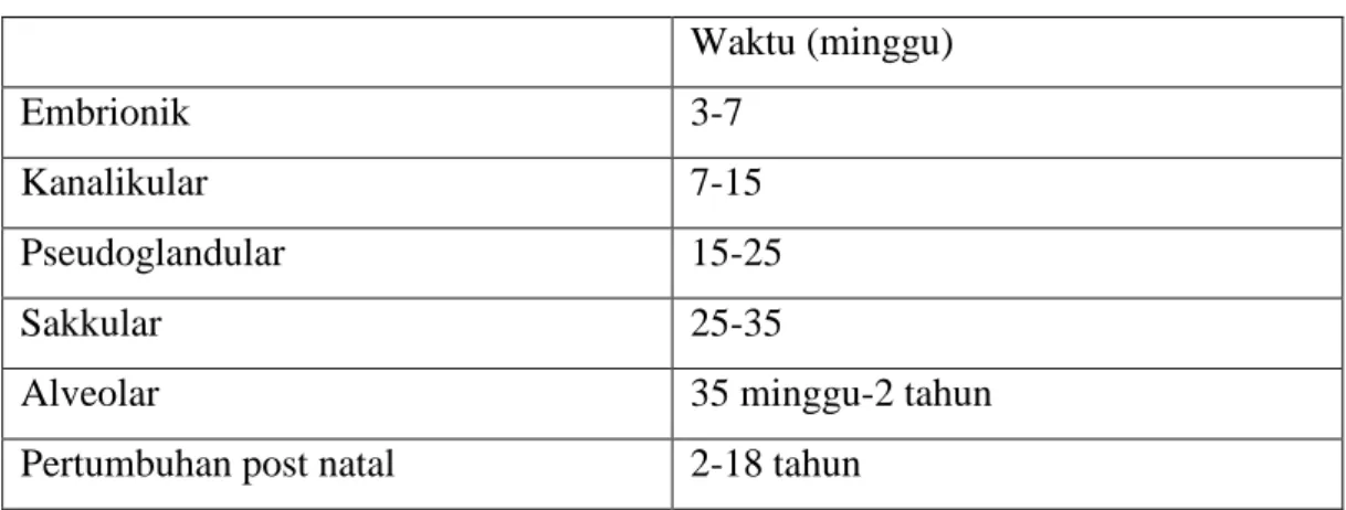 Tabel 1. Tahap pertumbuhan paru  4  Waktu (minggu) 