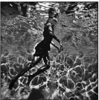Gambar 2.  Salah satu karya stensil Logan Hicks dari hasil foto  underwater yang dibuatnya