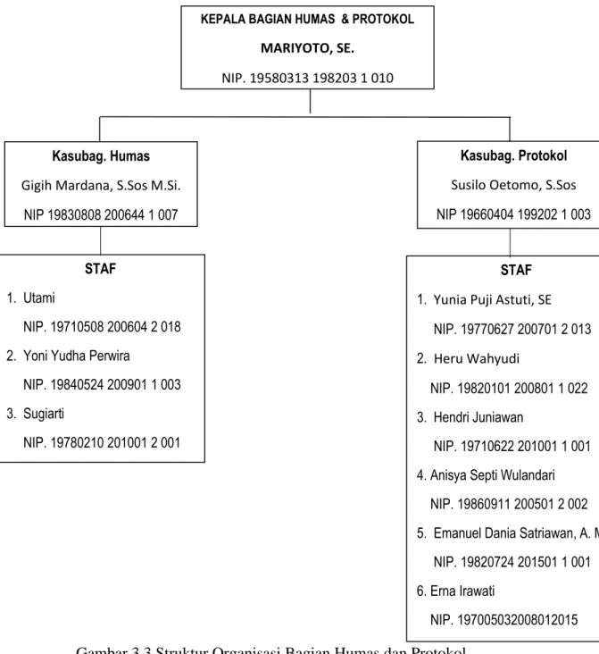 Gambar 3.3 Struktur Organisasi Bagian Humas dan Protokol  Sumber : Bagian Humas dan Protokol 