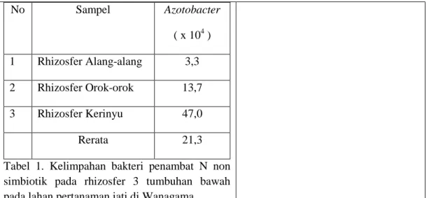 Tabel  1.  Kelimpahan  bakteri  penambat  N  non  simbiotik  pada  rhizosfer  3  tumbuhan  bawah  pada lahan pertanaman jati di Wanagama 