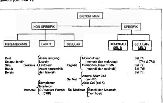 Gambar 1. Slstem Imun