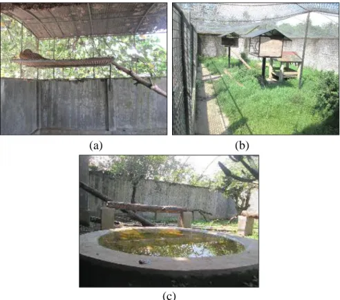 Gambar  4    Pengayaan  habitat  dalam  kandang  macan  tutul  jawa  di  Taman  Satwa    Cikembulan: (a,b) shelter;  dan (c) kolam serta dahan-dahan pohon 