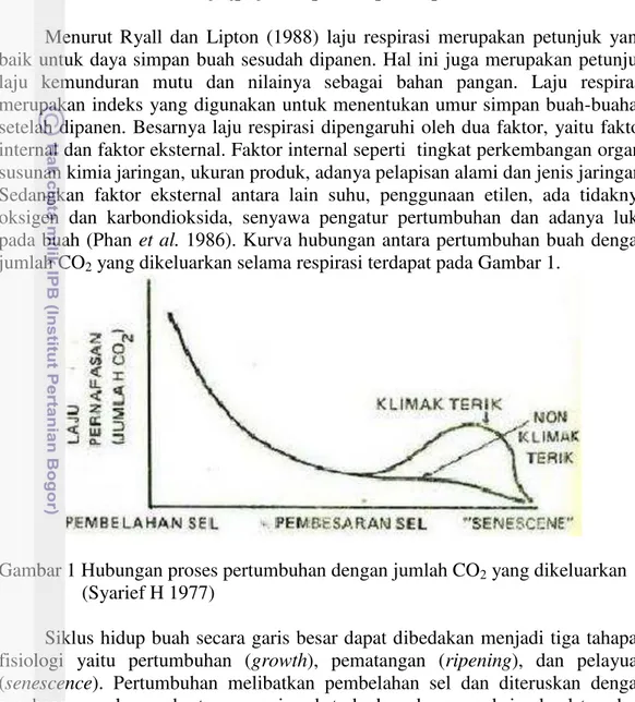 Gambar 1 Hubungan proses pertumbuhan dengan jumlah CO 2  yang dikeluarkan              (Syarief H 1977) 