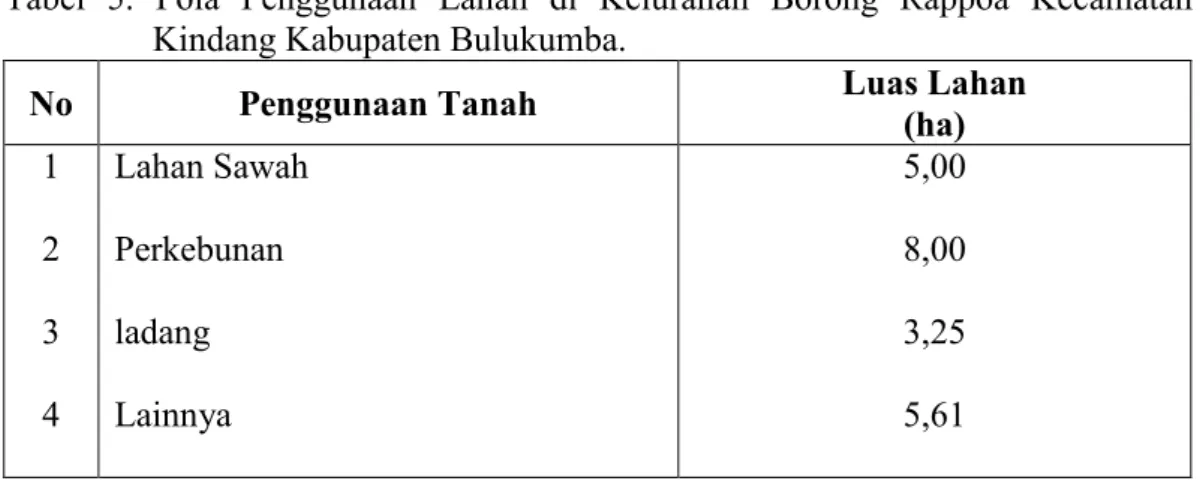 Tabel  5.  Pola  Penggunaan  Lahan  di  Kelurahan  Borong  Rappoa  Kecamatan Kindang Kabupaten Bulukumba.