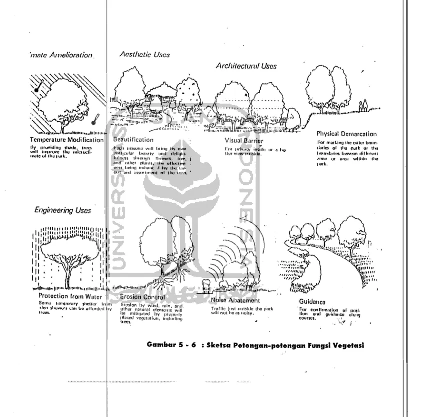 Gambar 5  ..  6  :  Sketsa  Potongan-potongan Fungsl Vegetasl 