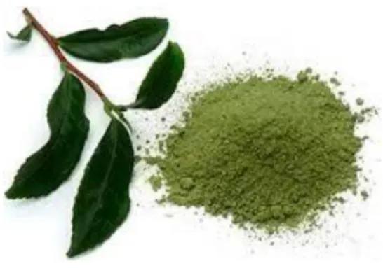 Gambar  2. Green Tea 