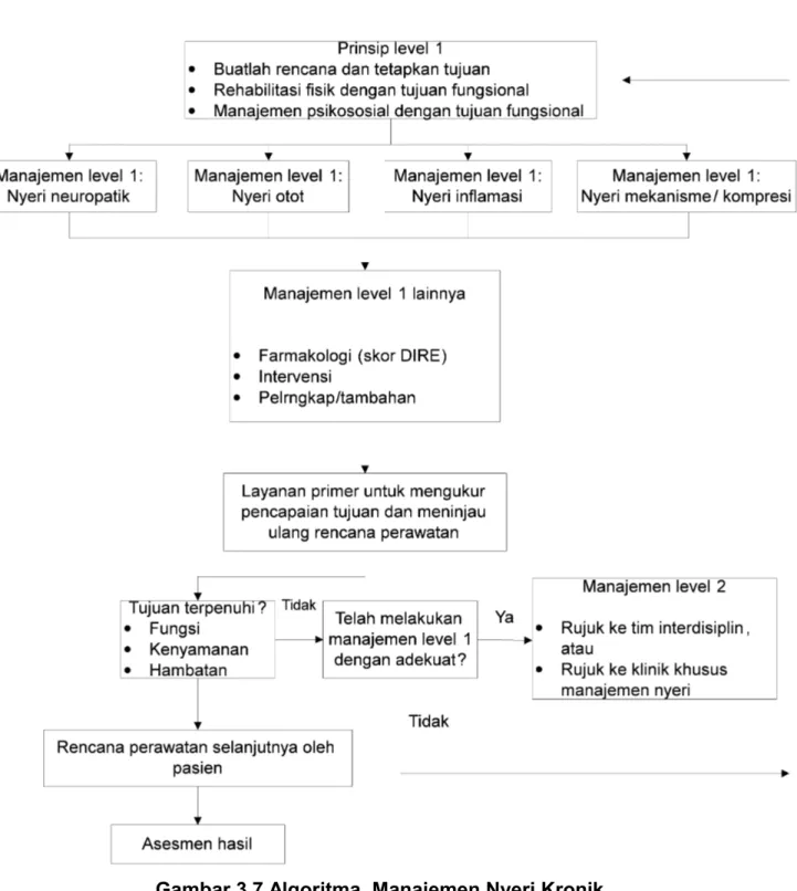 Gambar 3.7 Algoritma  Manajemen Nyeri Kronik