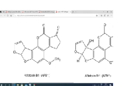 Gambar 1 Struktur kimia aflatoksin B1 (AFB1)  (Sumber: Marchese et al., 2018) 