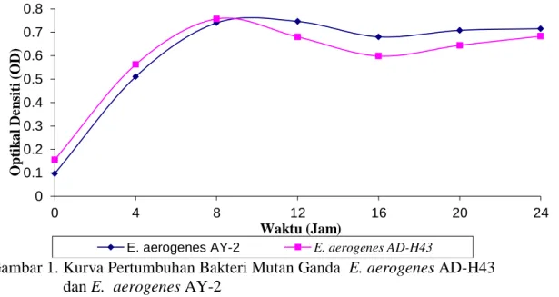 Gambar  1  menunjukkan  bahwa   Enterobacter  aerogenes  AD-H43  dan  E. 