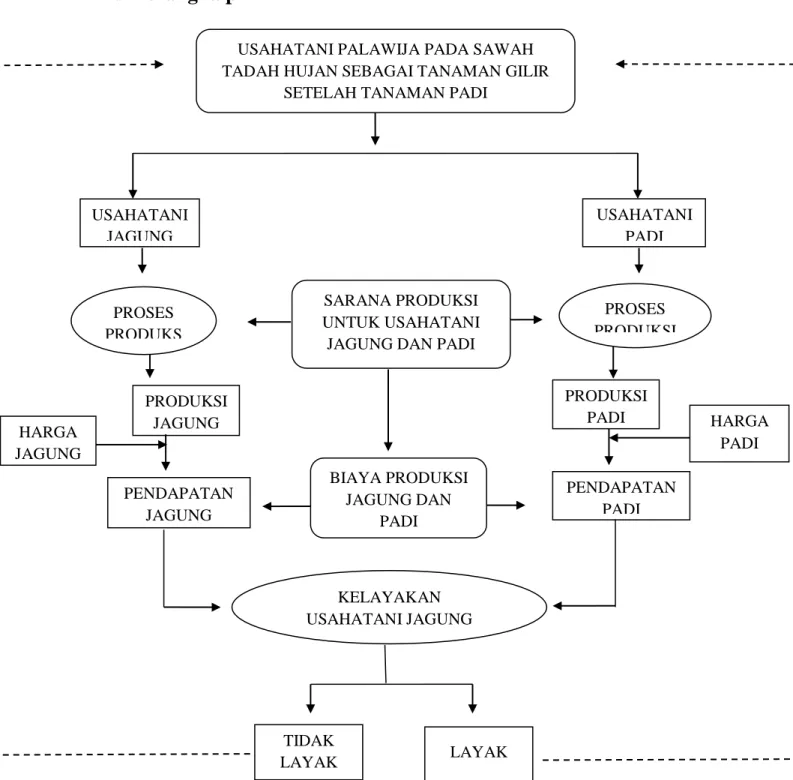 Gambar  1.Kerangka  Pikir  Penelitian  Analisis  Komparatif  Biaya  Produksi  dan  Pendapata  Usahatani  Jagung  (Zea  mays.L)danPadi(Oryza  sativa.L)Di  Desa  Buntu  Batuan,  Kecamatan  Malua,  Kabupaten  Enrekang,  Sulawesi  Selatan