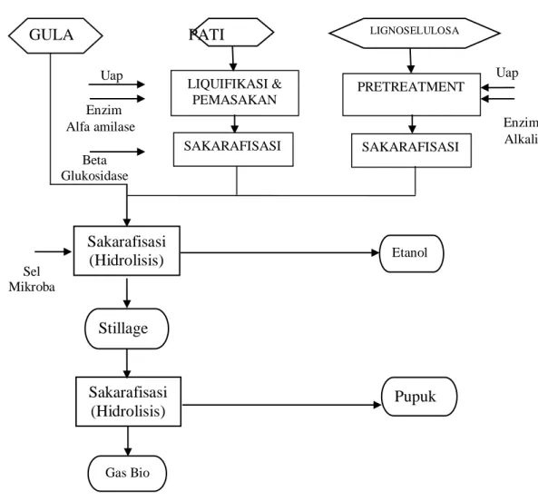 Gambar 1. Diagram alir proses pembuatan bioetanol dari bahan baku gula, pati,  dan   ligniselulosa 