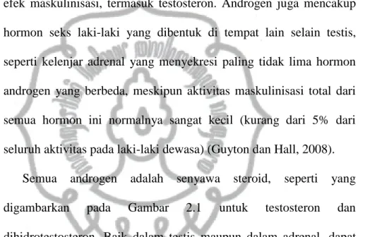 Gambar 2.2 Struktur Kimiawi Testosteron dan Dihidrotestosteron 