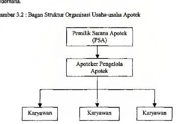 Gambar 3.2 : Bagan Struktur Organisasi Usaha-usaha Apotek