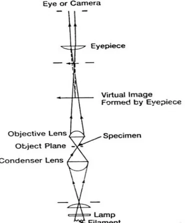 Gambar 2.6 Skema mikroskop pengamatan struktur mikro (Paul, 1988) 