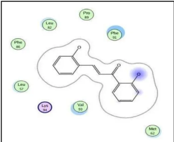 Tabel 2. Perbedaan Residu Asam Amino Hasil Docking  dan Simulasi Molecular Dynamic 