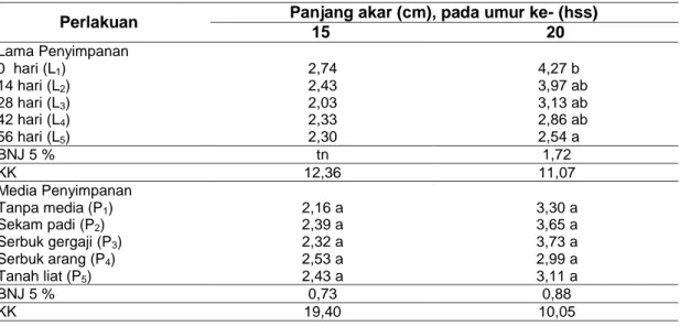 Tabel 6 Rata-rata panjang akar (cm) pada pengamatan umur 15 hss dan 20 hss pada perlakuan  lama penyimpanan dan media penyimpanan 