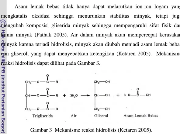 Gambar 3  Mekanisme reaksi hidrolisis (Ketaren 2005). 