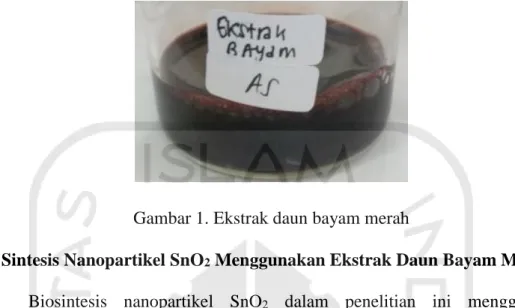 Gambar 1. Ekstrak daun bayam merah 