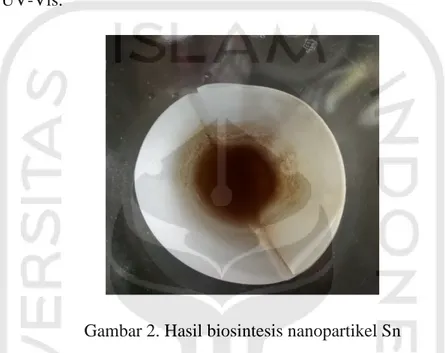 Gambar 2. Hasil biosintesis nanopartikel Sn 