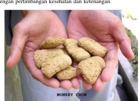 Gambar 3 Monkey chow, pakan monyet dalam bentuk biskuit. 
