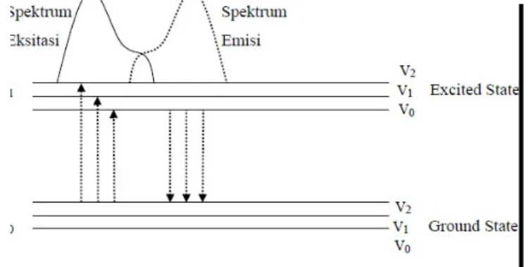 Gambar 3. Hubungan spektrum eksitasi dengan spektrum emisi II.4 Bahan Organik