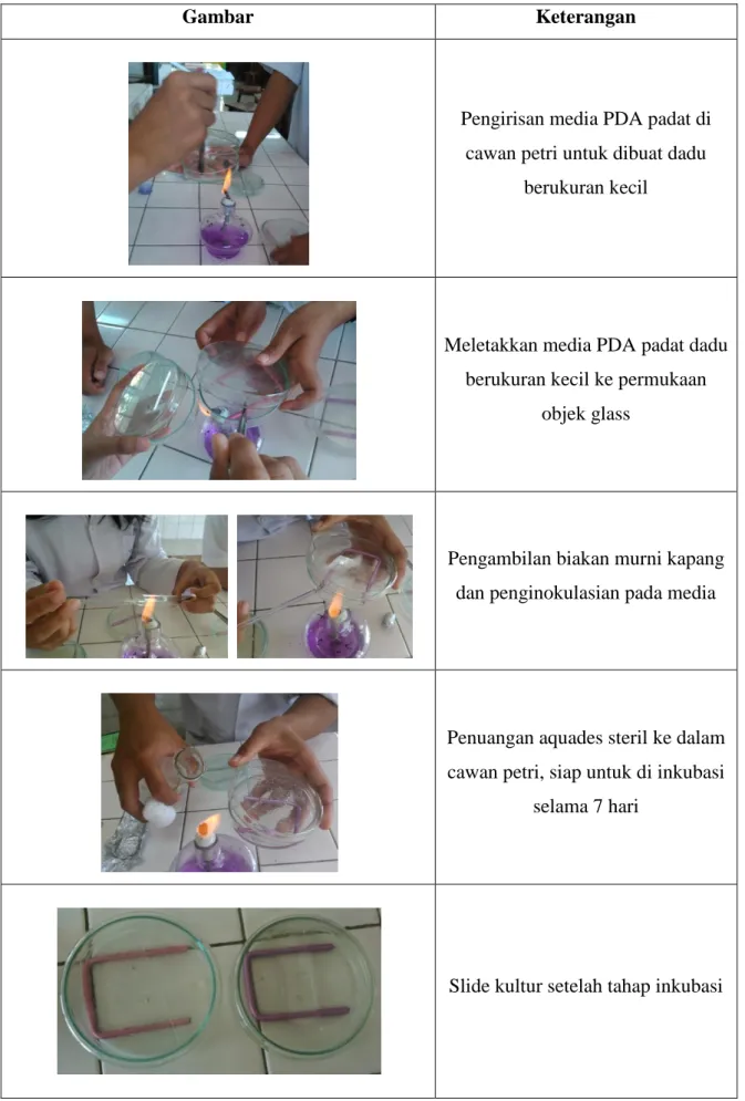 Gambar  Keterangan 