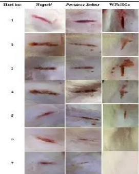 Tabel 1. Lama waktu penyembuhan luka sampel Perlakuan Tikus Lama Waktu