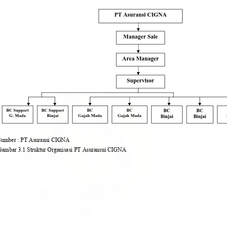 Gambar 3.1 Struktur Organisasi PT Asuransui CIGNA 
