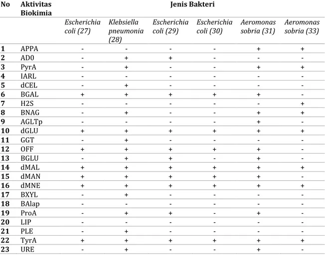 Tabel 2. Hasil analisis biokimia bakteri  No  Aktivitas 